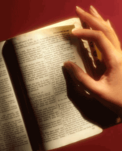 Womens Bible Study
